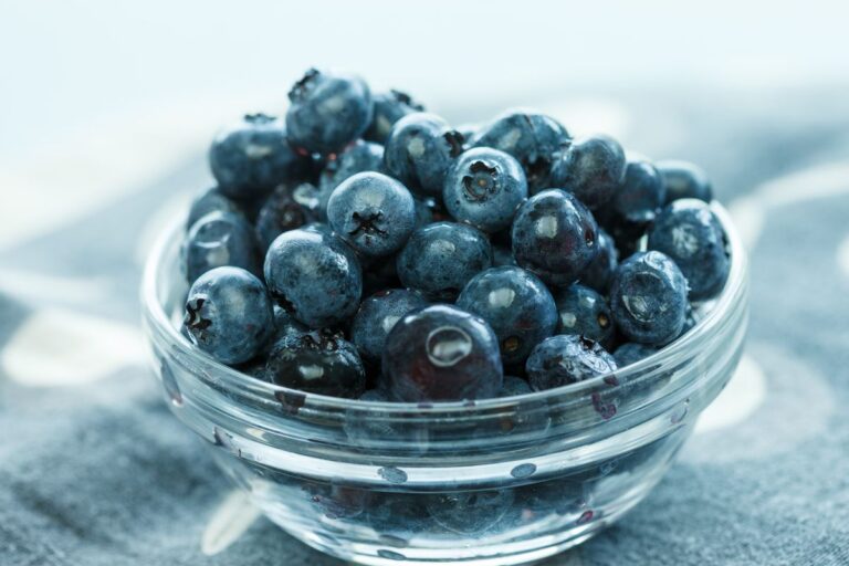 Fresh blueberries — can dogs eat blueberries